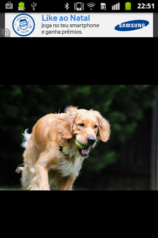 Golden Retriever Dog Free截图1