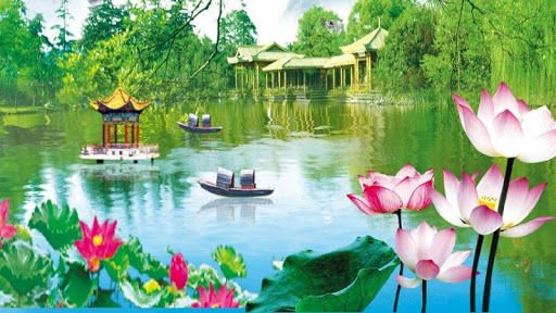 Lotus Pond 3D Live Wallpaper截图1