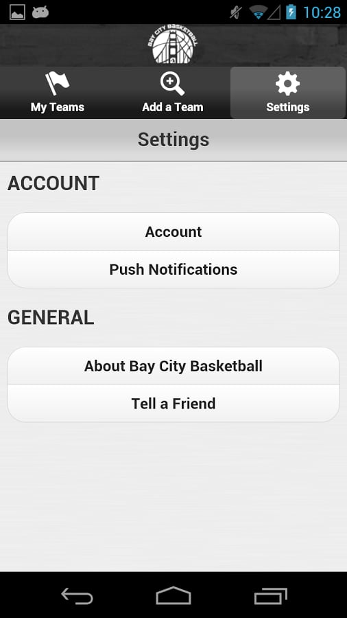 Bay City Basketball截图1