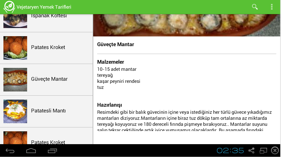 Vejetaryen Yemek Tarifleri截图1