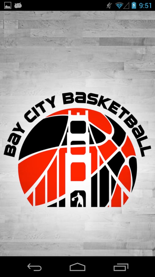 Bay City Basketball截图2