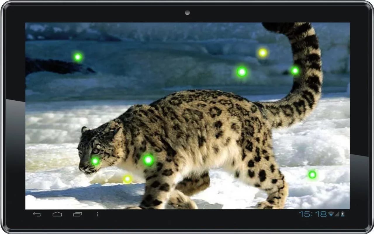 Snow Leopard Eyes HD LWP截图3