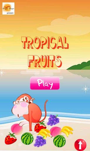 Tropical Fruits截图1