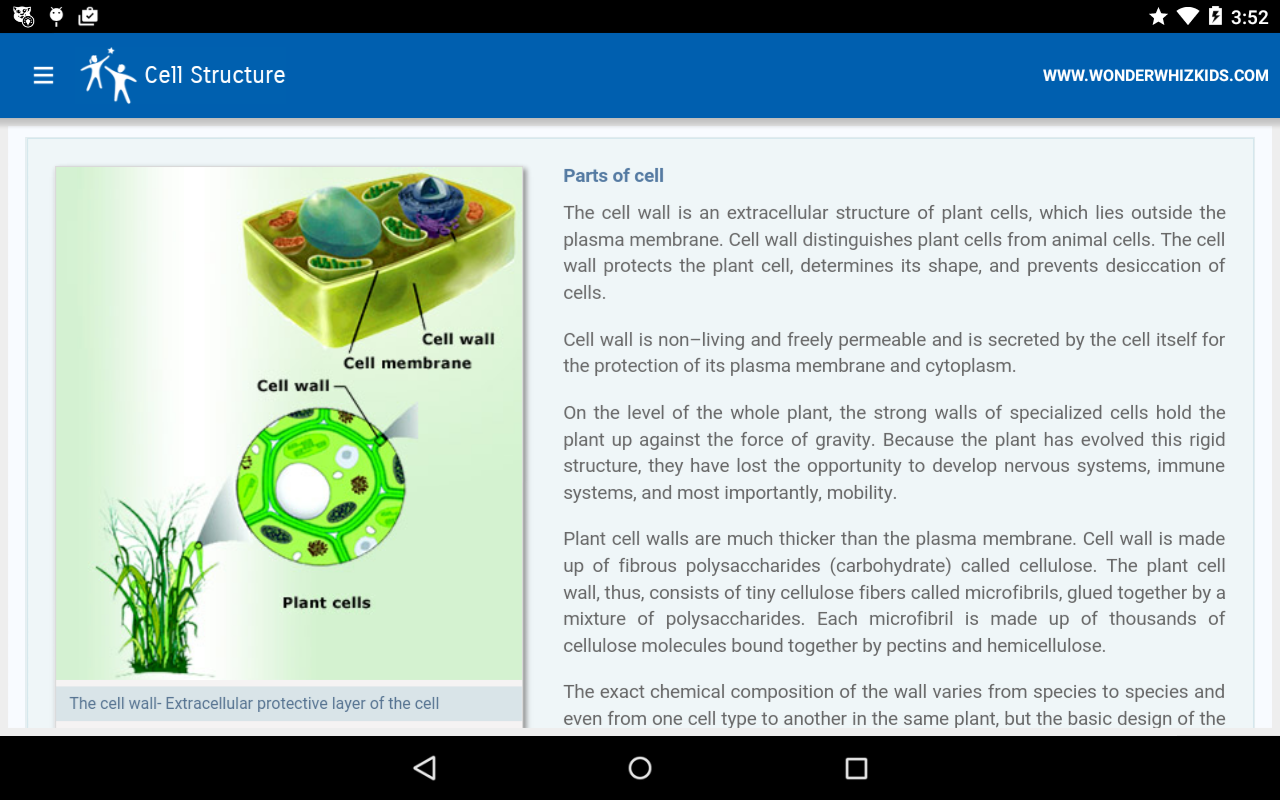 Cell Structure截图2