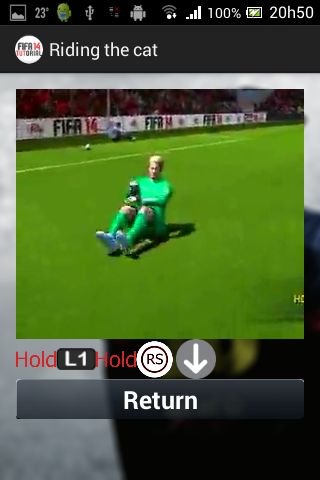 Fifa 14 Tutorial截图4