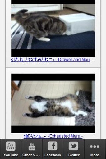 Maru the Cat截图2