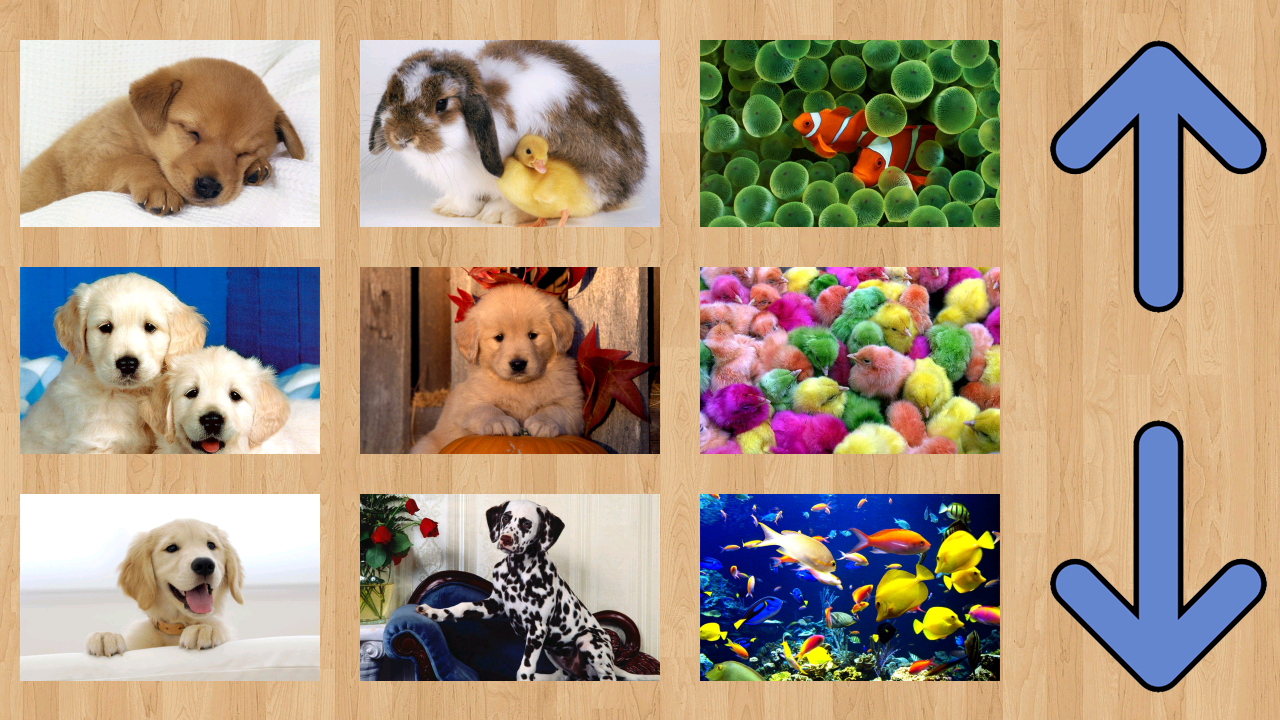 Puzzle 15: Lovely Pets截图4