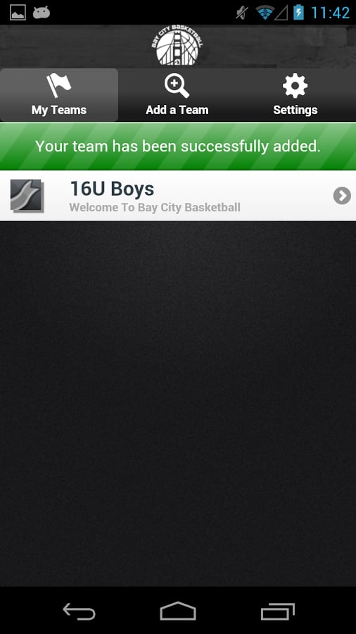 Bay City Basketball截图6