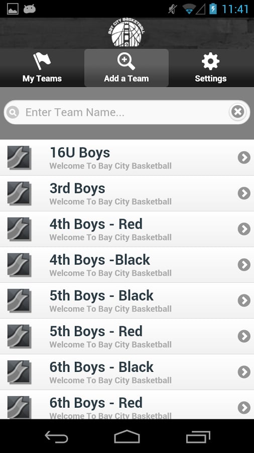 Bay City Basketball截图3