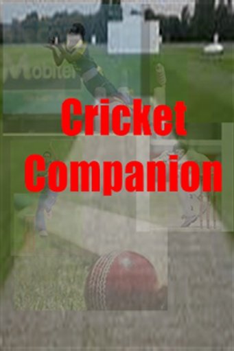 Cricket Companion截图1