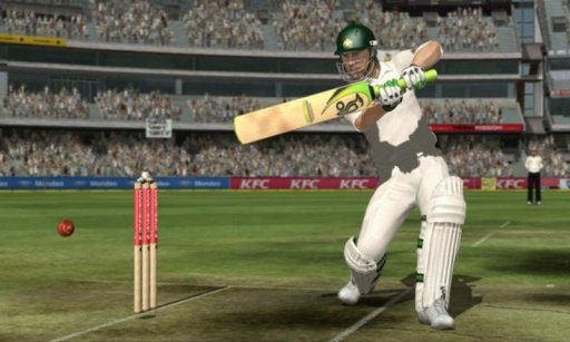 Cricket Game 2015截图3