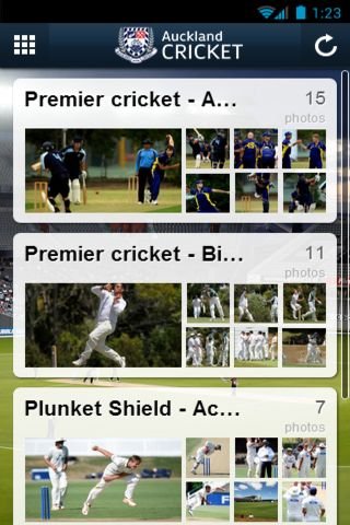 Auckland Cricket截图1