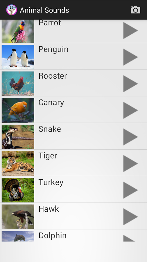 Animal Sounds - Ringtones截图3