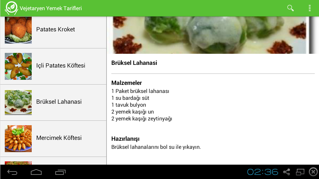 Vejetaryen Yemek Tarifleri截图11