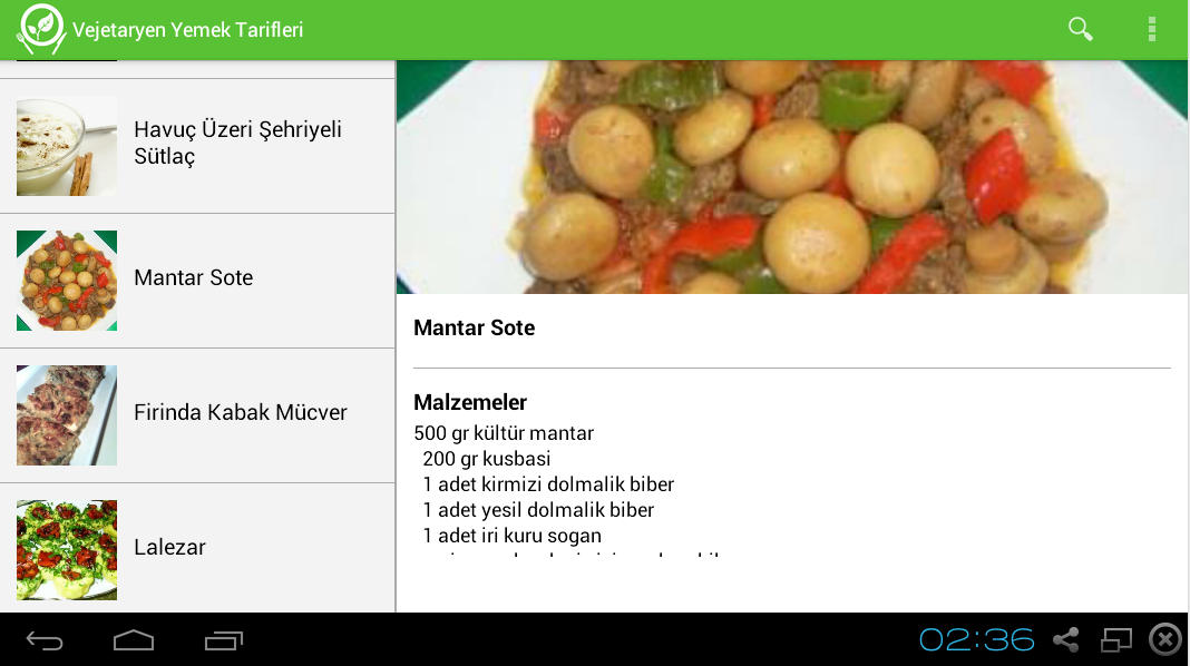 Vejetaryen Yemek Tarifleri截图8