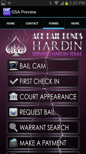 Ace Bail Bonds Hardin截图1