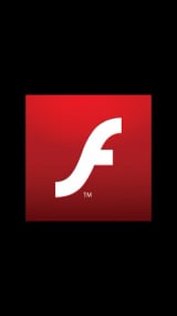 Flash Download截图5