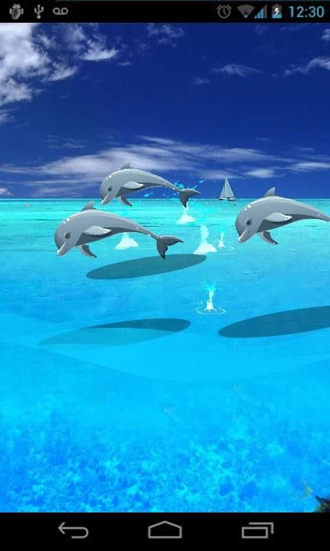 Jumping Dolphin LiveWallpaper3截图3