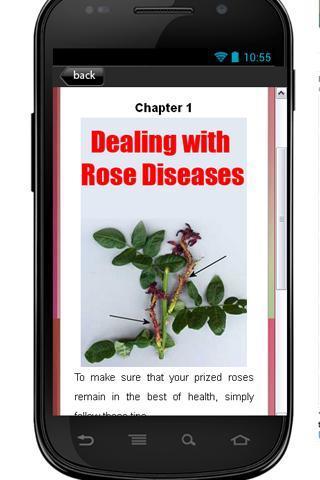 Dealing with Rose Diseases截图2