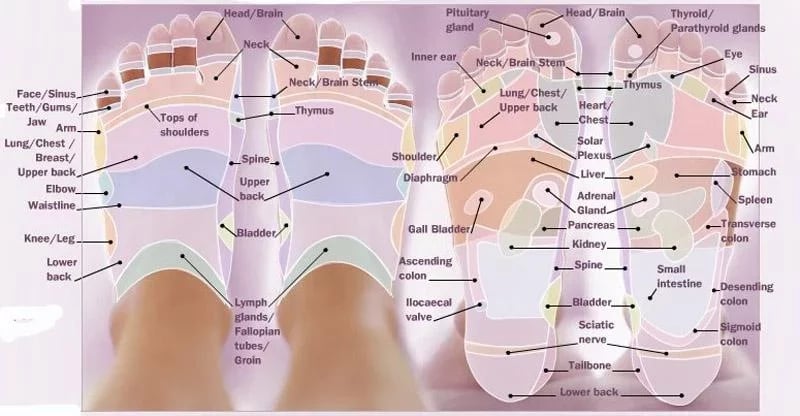 Acupressure Points截图3