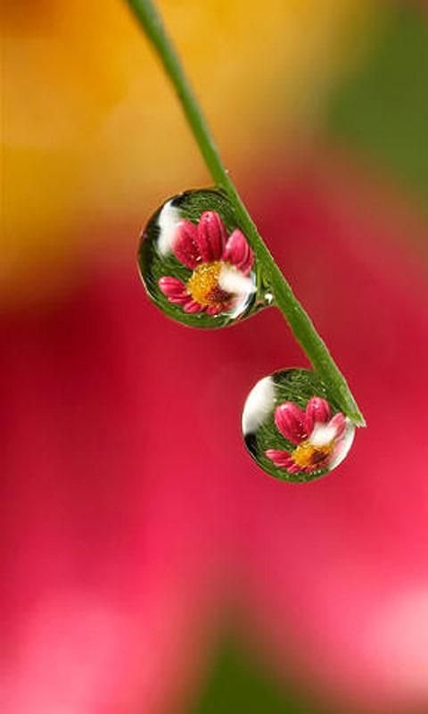 Water droplets Live Wallpaper截图1