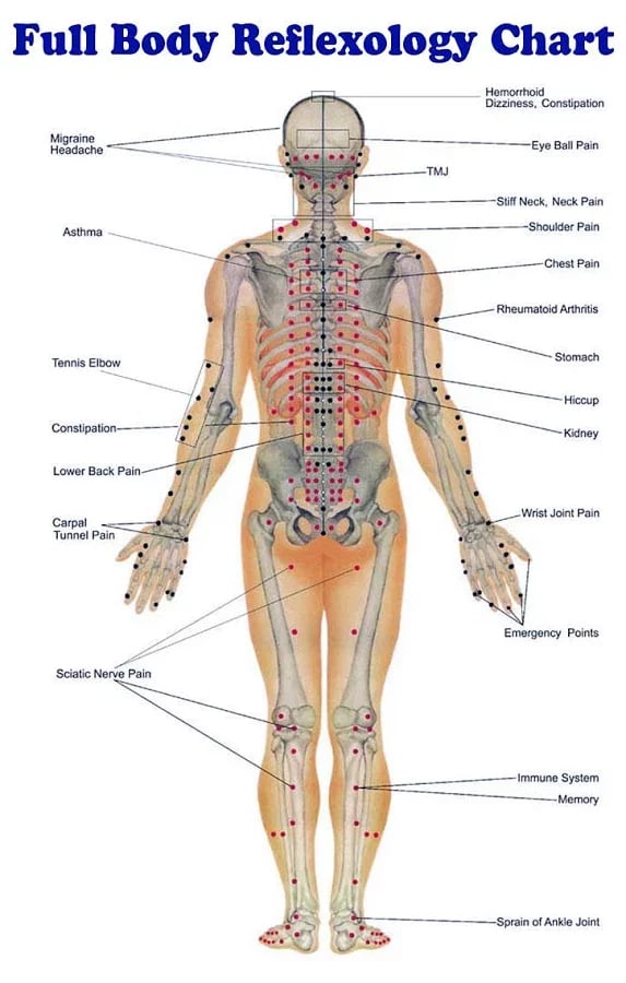 Acupressure Points截图2