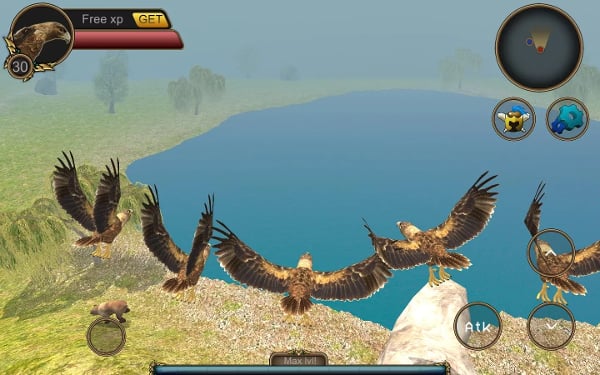 Eagle Bird Simulator Online截图1