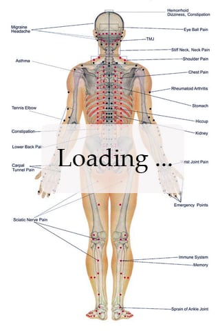 Acupressure Points截图4