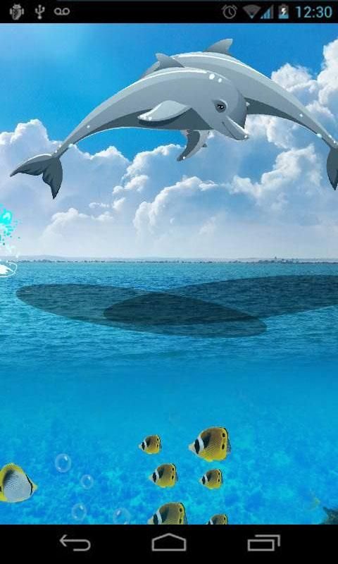 Jumping Dolphin LiveWallpaper3截图2