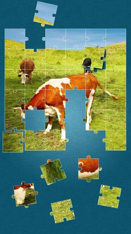 Cows Jigsaw Puzzle截图9