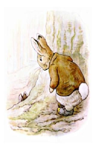 本杰明兔子的故事截图5
