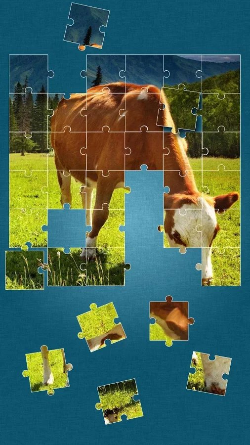 Cows Jigsaw Puzzle截图7