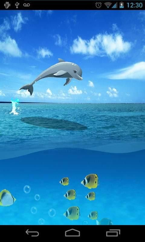 Jumping Dolphin LiveWallpaper3截图1