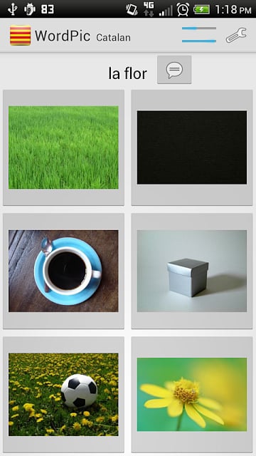 Learn Catalan WordPic截图2