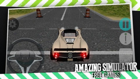 Reel Sport Car Simulator截图2