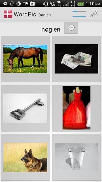 Learn Danish with WordPic截图3