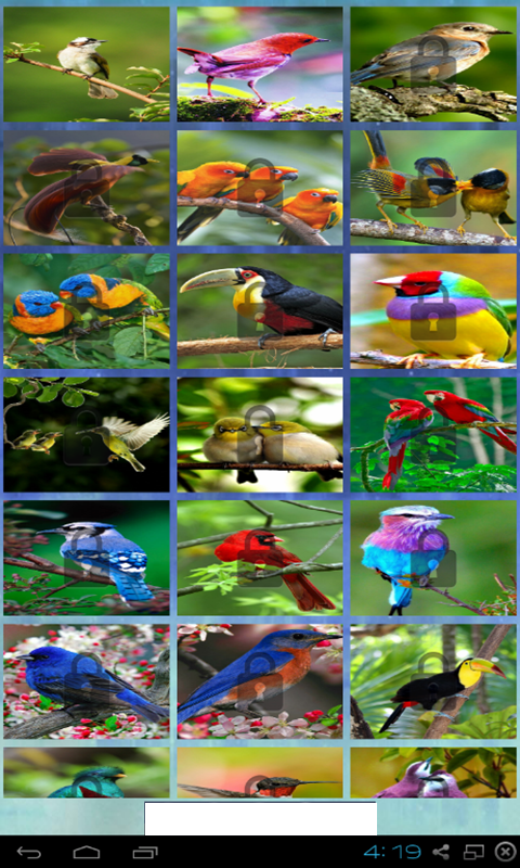 puzzle birds with nature截图1