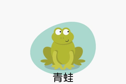 Flashcard Animals截图3