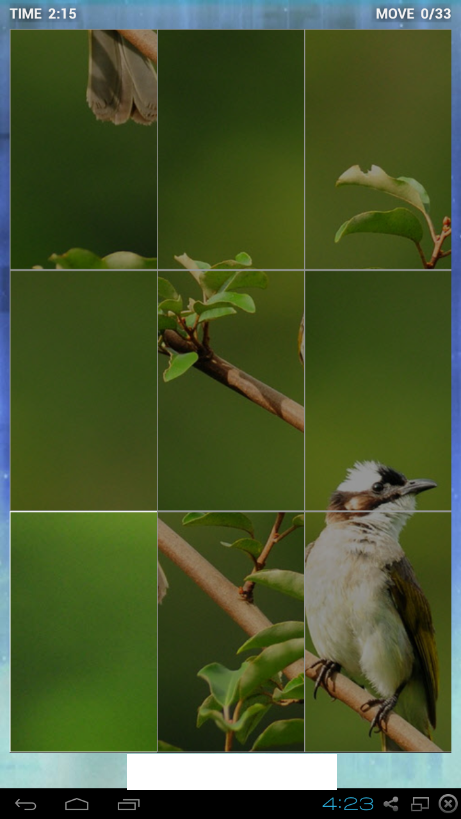 puzzle birds with nature截图3