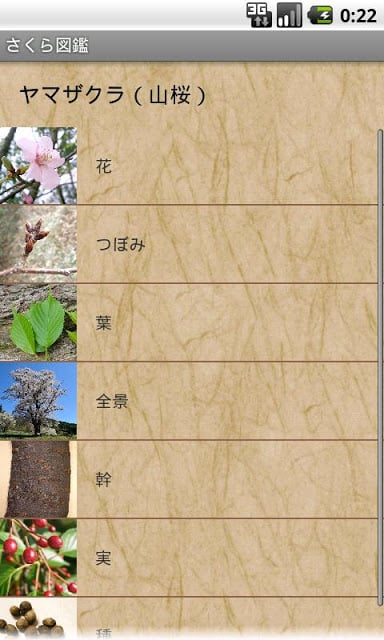 さくら図鑑 BETA截图2