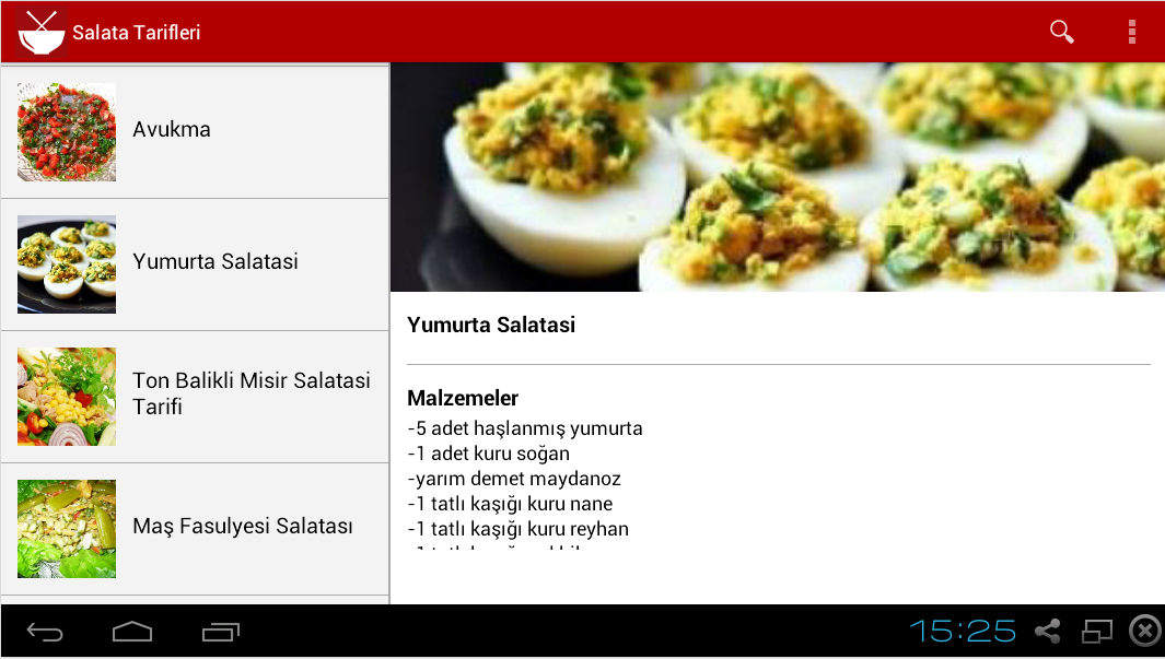 Salata Tarifleri截图4