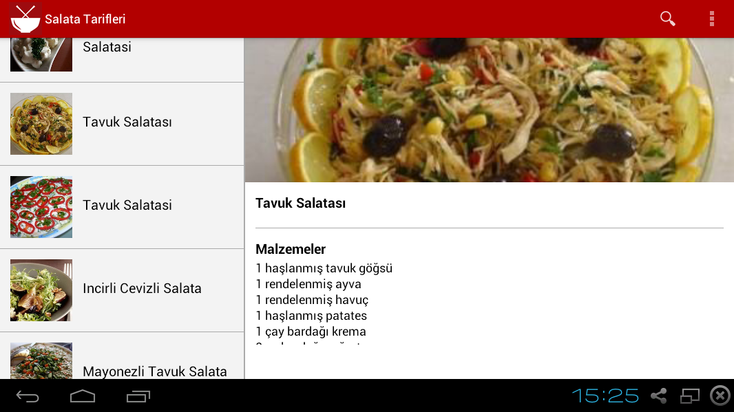 Salata Tarifleri截图2