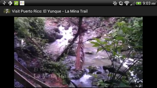 Visit Puerto Rico: El Yunque截图3