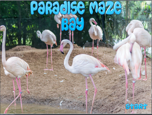 Paradise Maze Puzzle截图1