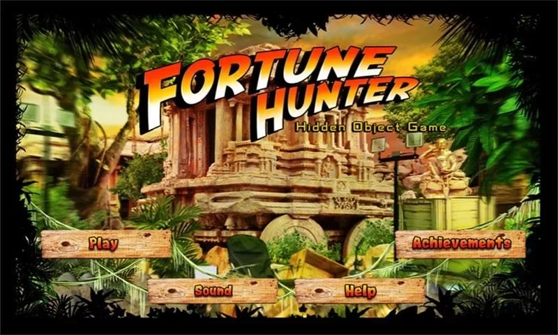 Fortune Hunter - Hidden ...截图5