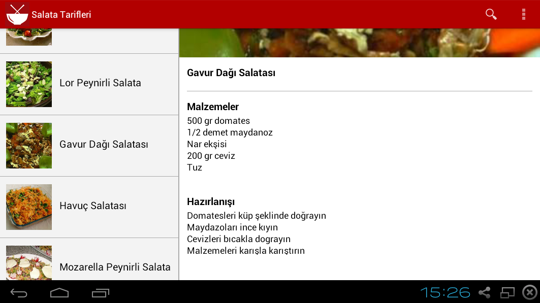 Salata Tarifleri截图11