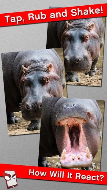 Angry Hippo Free!截图2