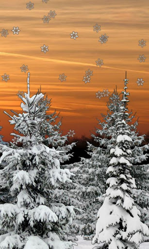 Winter Snow Trees 3D Trial LWP截图2