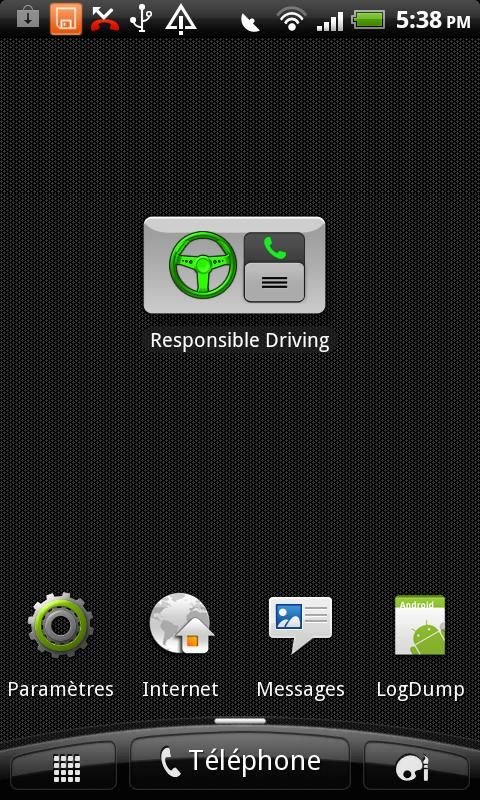 Responsible Driving截图1