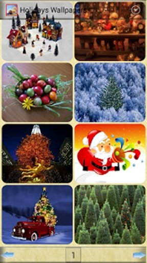 Holidays Wallpapers截图4